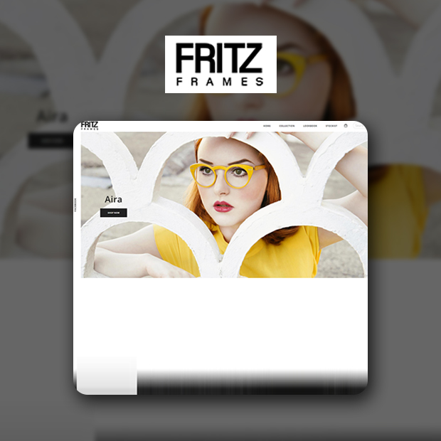Fritz Frames Website